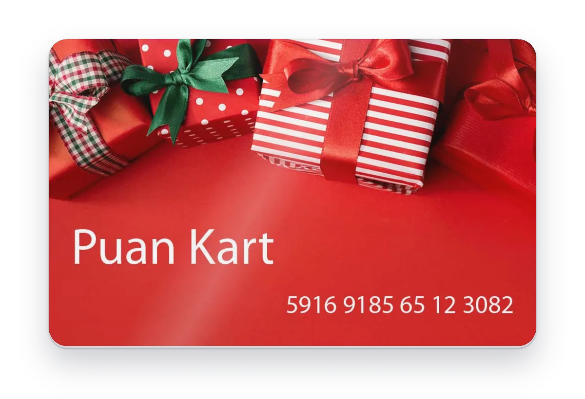 Sadakat Kartı Puan Kartı Fiyatları